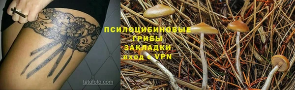 СК Абинск