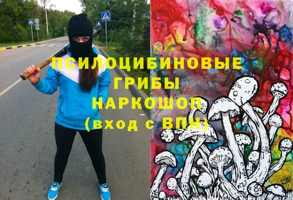мдпв Снежинск