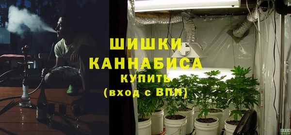 сатива Абаза