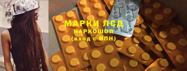 сатива Абаза